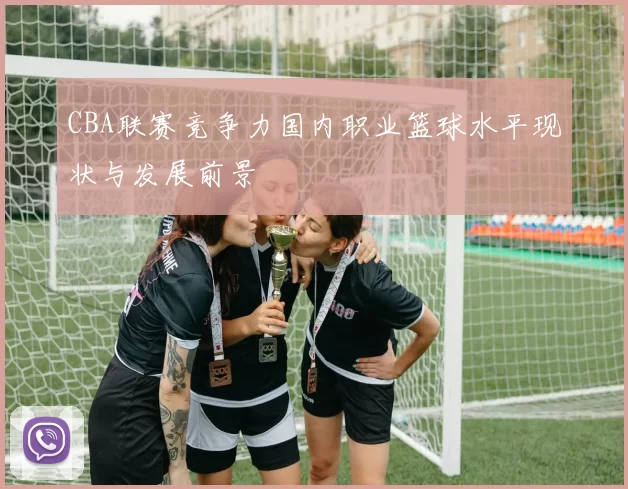 CBA联赛竞争力国内职业篮球水平现状与发展前景