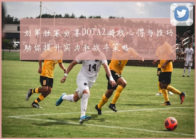 刘军独家分享DOTA2游戏心得与技巧助你提升实力和战斗策略