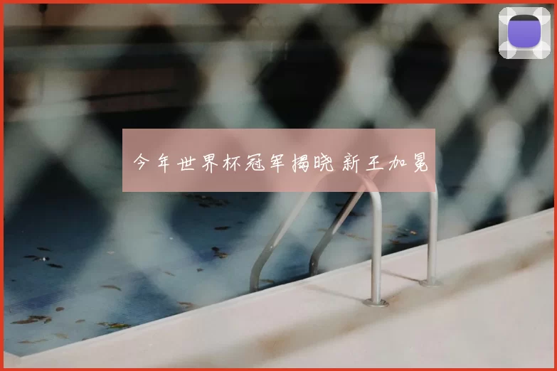 今年世界杯冠军揭晓 新王加冕