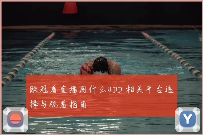欧冠看直播用什么app 相关平台选择与观看指南