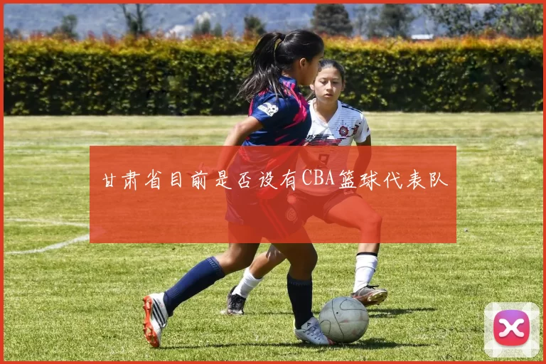 甘肃省目前是否设有CBA篮球代表队