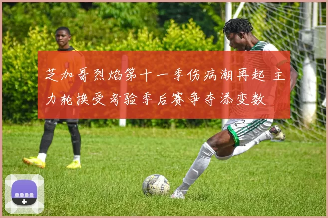 芝加哥烈焰第十一季伤病潮再起 主力轮换受考验季后赛争夺添变数