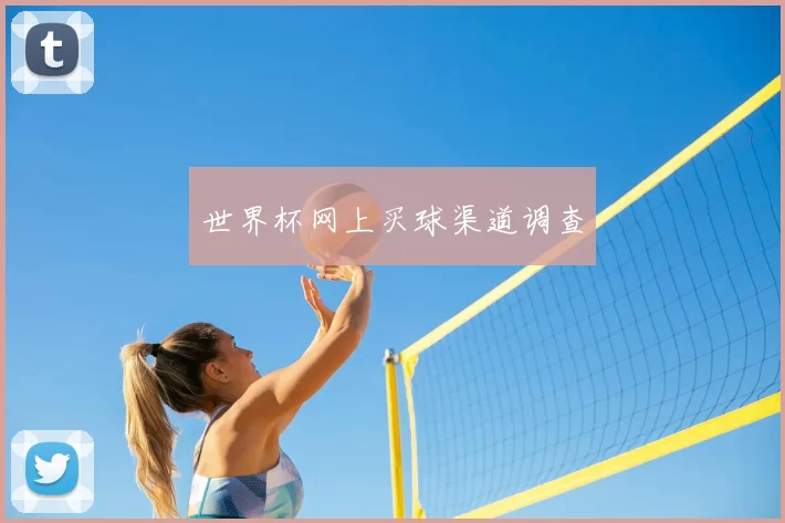 世界杯网上买球渠道调查