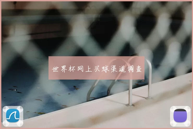 世界杯网上买球渠道调查