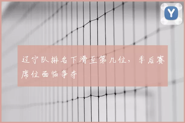 辽宁队排名下滑至第几位,季后赛席位面临争夺