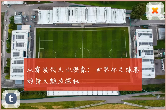 从赛场到文化现象：世界杯足球赛的持久魅力探秘