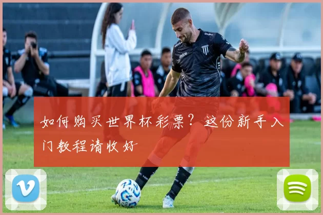 如何购买世界杯彩票？这份新手入门教程请收好