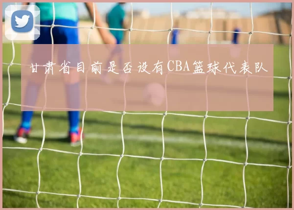 甘肃省目前是否设有CBA篮球代表队