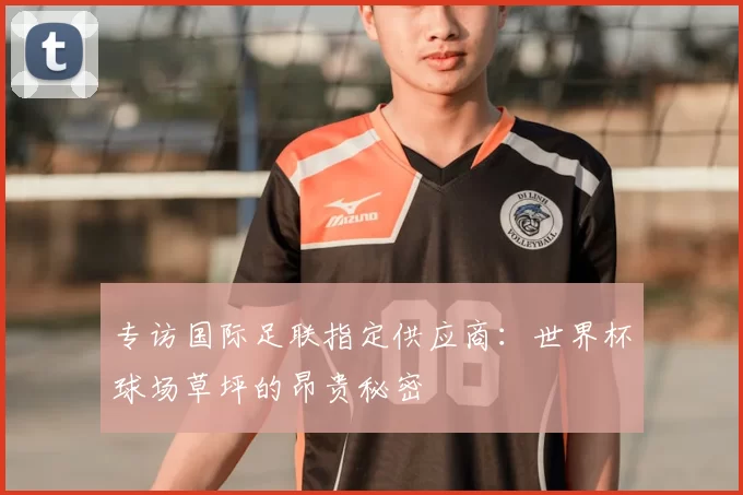 专访国际足联指定供应商：世界杯球场草坪的昂贵秘密