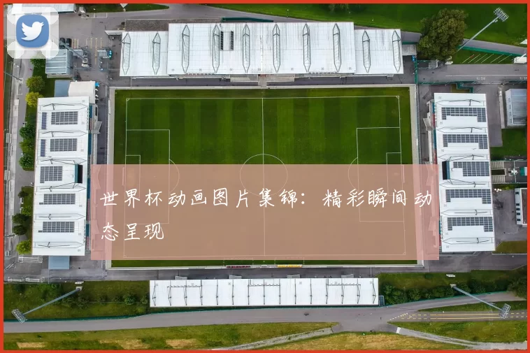 世界杯动画图片集锦:精彩瞬间动态呈现